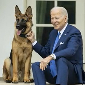 Joe Biden's Dog Commender draws blood again