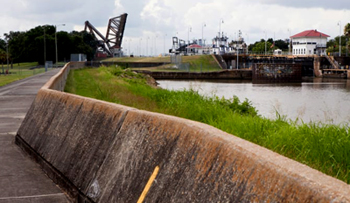 Four Foot high reinforced levee in New Orleans