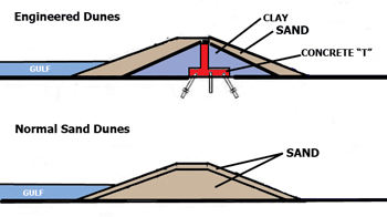 Diagram of engineered dunes verses normal sand dunes