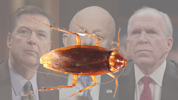 Former Biden Intelligence and FBI officils (Cockroaches?)